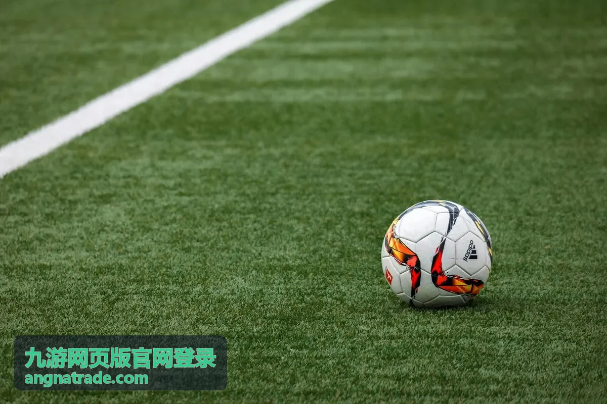 九游网页版官网登录的账号安全验证说明配图
