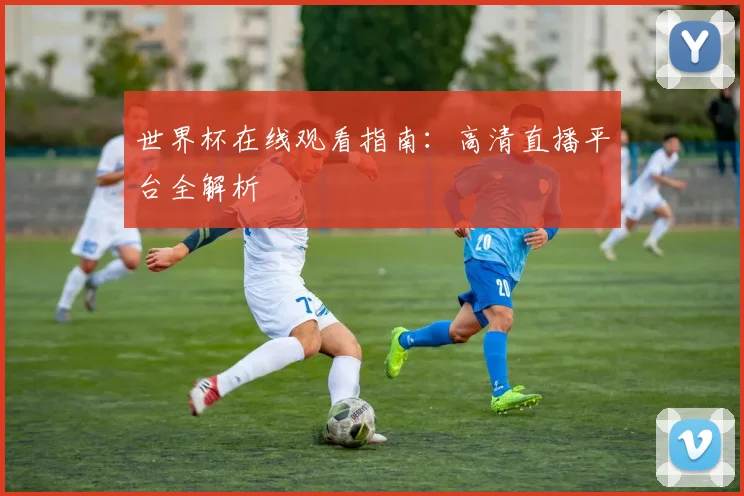 世界杯在线观看指南：高清直播平台全解析