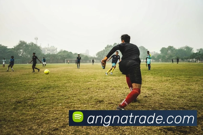 kaiyun官方网站APP 高清赛事图